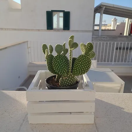 Casamareluna Dom wakacyjny Ostuni